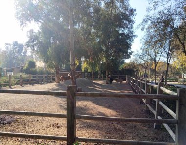 Izmir natural life park and zoo. Pony and lamas in the large area.