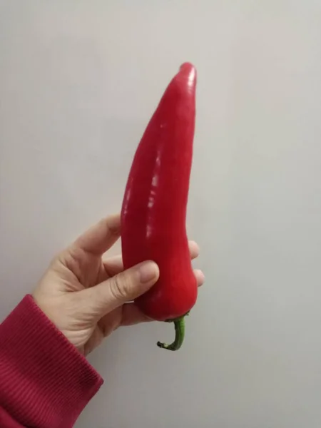 Red capia pepper. Holding a red pepper.