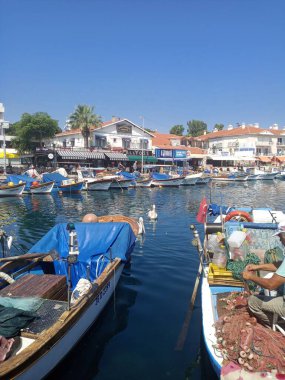 Yerel balıkçı teknede balık ağı temizliyor. Foca-İzmir-Türkiye