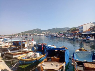 Balıkçı tekneleri, balık restoranları, kafeler ve pelikanlar. Küçük Foca kasabası İzmir 'e yakın..