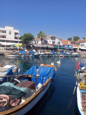 Balıkçı tekneleri, balık restoranları, kafeler ve pelikanlar. Küçük Foca kasabası İzmir 'e yakındır. Ege Denizi.