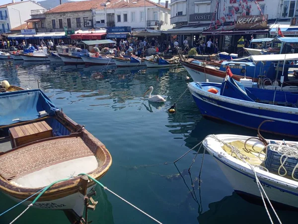 Αλιευτικά Σκάφη Ψαροταβέρνες Καφετέριες Και Πελεκάνους Μικρή Πόλη Foca Είναι — Φωτογραφία Αρχείου