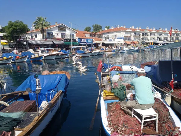 Miejscowy Rybak Oczyszcza Sieć Rybacką Morzu Dwa Pelikany Foca Izmir — Zdjęcie stockowe