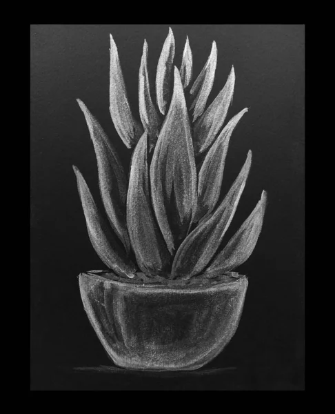 Hand Drawn Watercolor Drawing Plant Illustration Art — Stock Photo, Image