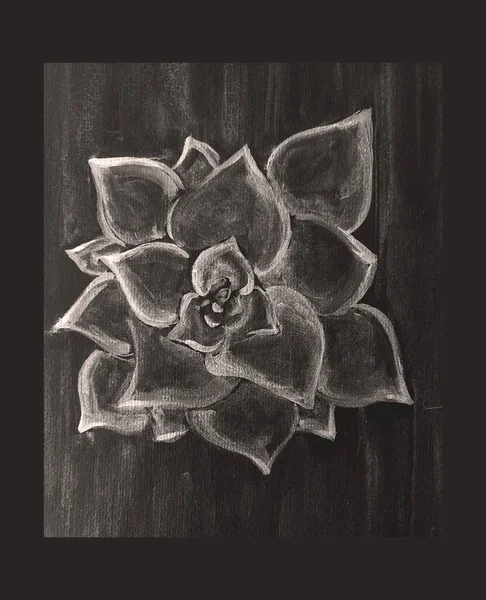 Χειροποίητο Σχέδιο Ακουαρέλα Του Φυτού Εικονογράφηση Τέχνης — Φωτογραφία Αρχείου