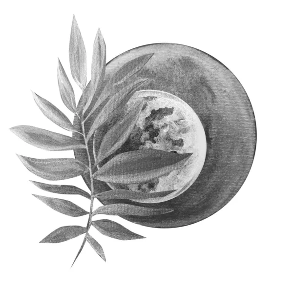 Мальований Вручну Акварельний Малюнок Місяця Листям Ілюстраційне Мистецтво — стокове фото