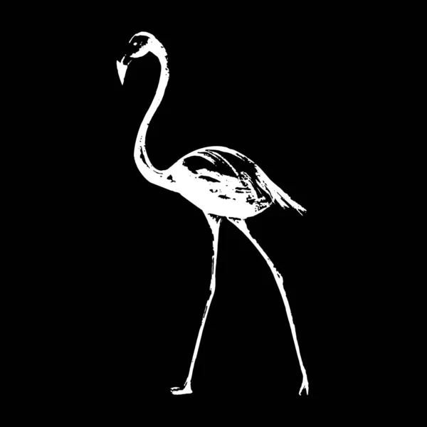 Flamingo Kroki Bir Satır Çizim Vektör Çizim — Stok Vektör