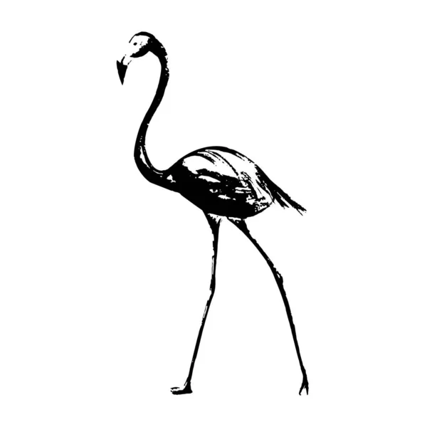 Flamingo Kroki Bir Satır Çizim Vektör Çizim — Stok Vektör