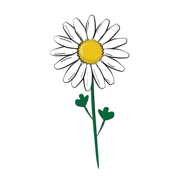 Belle Fleur Ensoleillée Illustration Vectorielle Isolée Motif Sans Couture — Image vectorielle