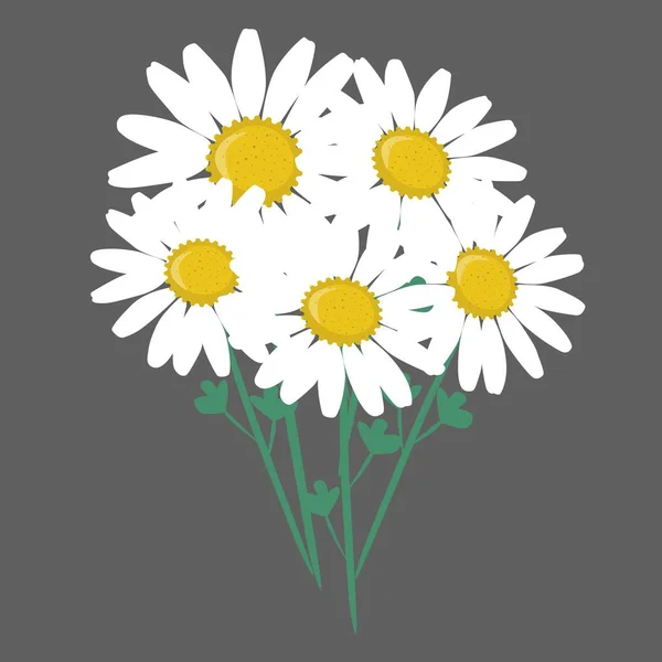 ดอกไม เดซ สวยงาม ภาพเวกเตอร แยก — ภาพเวกเตอร์สต็อก