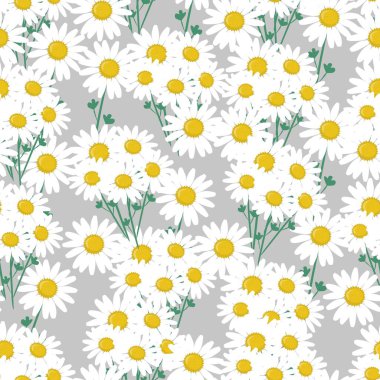 Güzel beyaz papatya, vektör çizimi, kusursuz desen