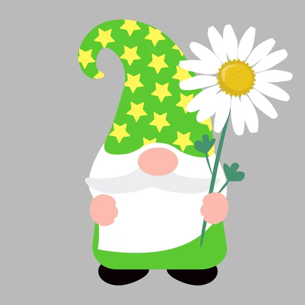 Prachtige Gnome Met Madeliefje Geïsoleerde Vector Illustratie — Stockvector