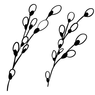 Bahar çiçeğinden yapılmış zarif bir el.