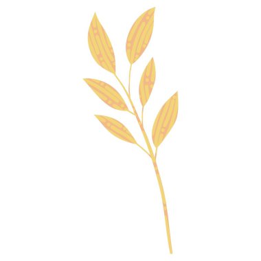 dal yaprağı yaprakları izole edilmiş simge