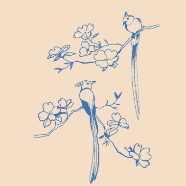 Egzotik kuşun çizimi, vektör çizim sanatı