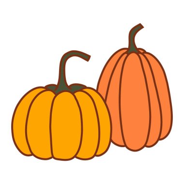 beyaz arkaplanda kabak