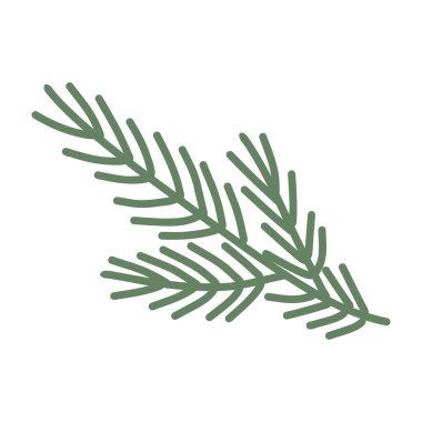 Beyaz arkaplanda bir ağacın yeşil dalı