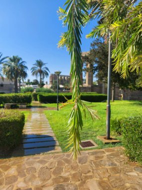 Parktaki bahçenin güzel manzarası