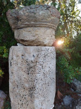 ephesus şehrindeki antik Roma harabeleri, hindi