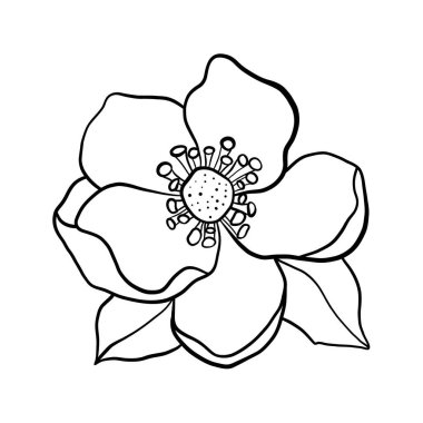 güzel çiçekler dekoratif simge vektör çizim tasarım