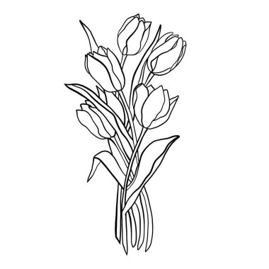 El çizimi laleler, eskiz. Beyaz arkaplanda vektör çizimi. Yetişkinler, çocuklar, yetişkinler, boyama kitabı.