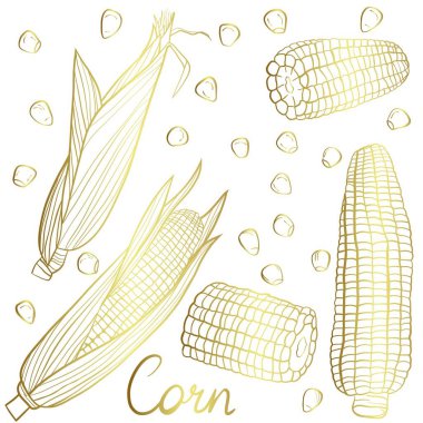 vektör el çizilmiş mısır kümesi