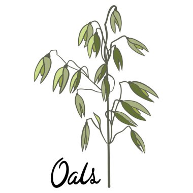 Elle çizilmiş bir ağaç resmi. vektör illüstrasyonu