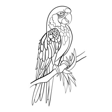Kuş çizgisi, vektör illüstrasyon sanatı.