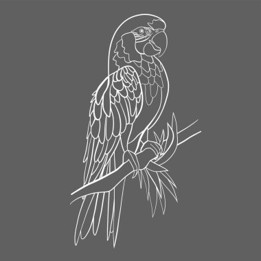 Kuş çizgisi, vektör illüstrasyon sanatı.
