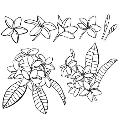 vektör tropikal set bırakır