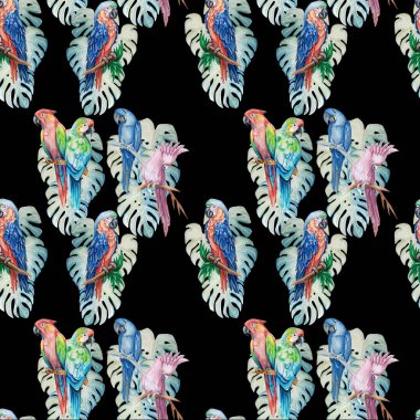 Egzotik kuşlar ile Seamless Modeli