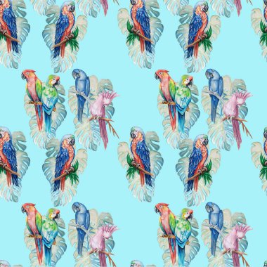 Egzotik kuşlar ile Seamless Modeli