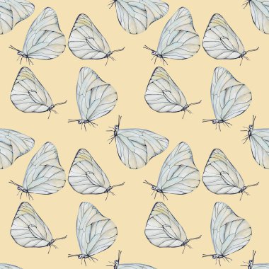 Kelebeklerin kusursuz çizim kalıpları