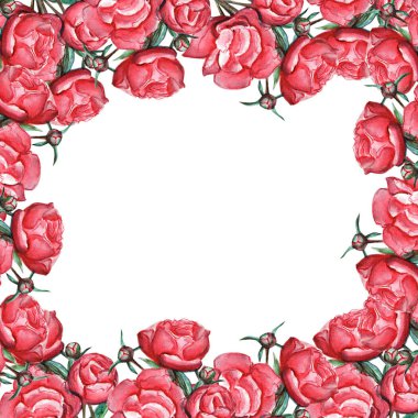 Güllerin suluboya el çizimi