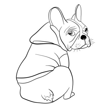 Tatlı Fransız bulldog 'unun vektör çizimi
