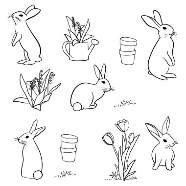 vektör tavşan kümesi