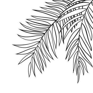 tropical leaves and branches