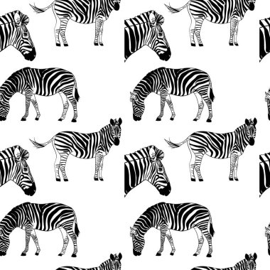 Zebra hayvan kusursuz desen, vektör illüstrasyonu