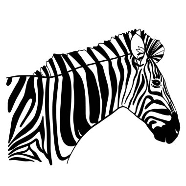 Zebra vektörü, hayvan simgesi