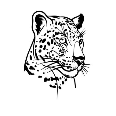 Bir leoparın silüetinin vektör çizimi 