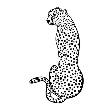 Bir leoparın silüetinin vektör çizimi 