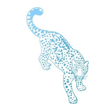 Leopar. Beyaz arkaplanda leoparın vektör çizimi.