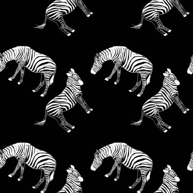 Zebra deseni kusursuz siyah ve beyaz vektör