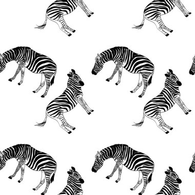 Zebra desen vektör çizim