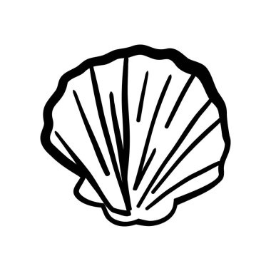 Deniz kabukları ve yaz karalamaları.