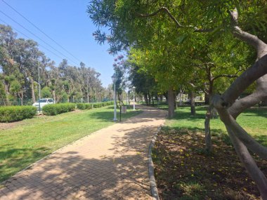 Parkın güzel manzarası