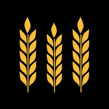 Buğday kulakları simgesi vektörü beyaz arkaplanda izole edildi, buğday kulakları işareti
