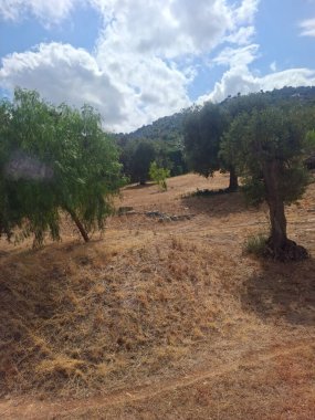 Manzara, Crete, Yunanistan