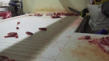 Et işleme tesisi, kasap domuz leşleri, et üretimi ve gıda endüstrisi, et toplama süreci, işçiler et kesmek için ekipman kullanıyor.