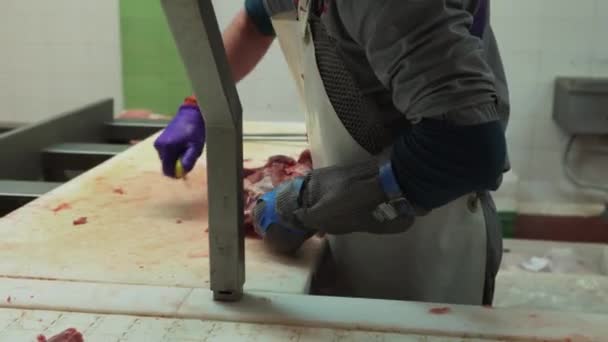 肉类加工厂 屠夫切猪肉屠体 肉类生产和食品工业 肉类收获过程中 工人使用切肉设备 — 图库视频影像